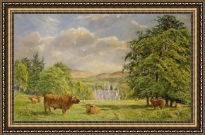 Times Framed Prints - Bulls at Balmoral by Tim Scott Bolton