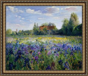 A Quiet Evening Framed Prints - Evening at the Iris Field by Timothy Easton