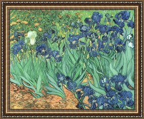 Field of Yellow Irises at Giverny Framed Paintings - Irises by Vincent Van Gogh