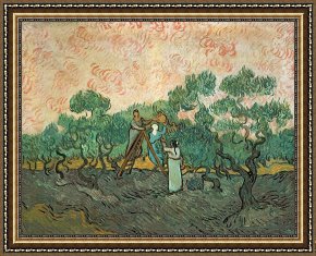 Hendrikus Van De Sende Baachyssun Framed Prints - The Olive Pickers by Vincent van Gogh