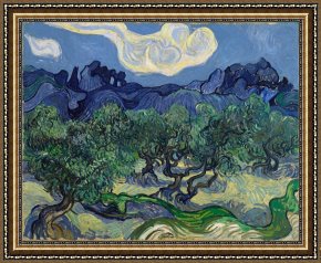 Tree Framed Prints - The Olive Trees by Vincent van Gogh