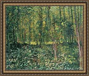 Tree Framed Prints - Trees and Undergrowth by Vincent van Gogh