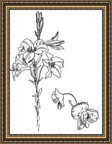 The Inferno, Canto 8, Lines 2729 Soon As Both Embark Framed Prints - Lily And Poppy Flower Line Drawing by Walter Crane
