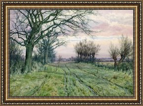 Boar Lane Framed Prints - A Fenland Lane with Pollarded Willows by William Fraser Garden