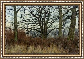 The Fairies a Scene Drawn From William Shakespeare Framed Paintings - Woodland Scene at Twilight by William Fraser Garden