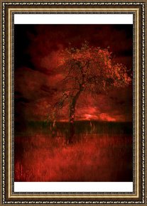 Tree Framed Prints - Bloody tree by Zygmunt Kozimor