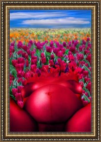 Spring Framed Prints - Spring by Zygmunt Kozimor