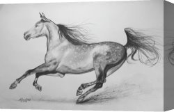 Horse Race Canvas Paintings - Galloping horse by Agris Rautins