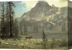 Wild Boars Canvas Paintings - Call of the Wild by Albert Bierstadt