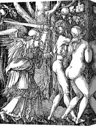 Eve Canvas Paintings - Adam And Eve Etching By Albrecht Durer by Albrecht Durer