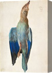 Wing of a Blue Roller Canvas Prints - Dead Blue Roller, 1500 (or 1512) by Albrecht Durer