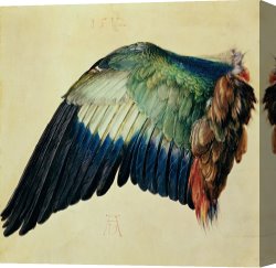 Wing of a Blue Roller Canvas Prints - Wing of a Blue Roller by Albrecht Durer