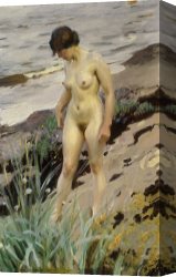 Nudity Canvas Prints - Sandhamn Study by Anders Leonard Zorn