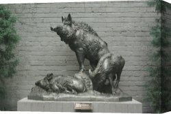 Wild Boars Canvas Paintings - Wild Boars by Anna Vaughan Hyatt Huntington