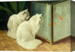 White Canvas Prints - White Cats Watching Goldfish by Arthur Heyer
