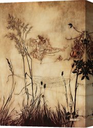 The Garden of Eden Canvas Prints - The Fairy's Tightrope from Peter Pan in Kensington Gardens by Arthur Rackham