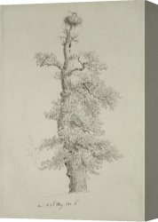 Ancient Canvas Paintings - Ancient Oak Tree With A Storks Nest by Caspar David Friedrich
