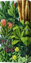 Undergrowth Canvas Prints - Foliage III by Catherine Abel