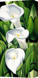 Cubist Lilies Canvas Prints - Lilies by Catherine Abel