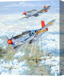 Charles Canvas Paintings - Red Tail 61 by Charles Taylor