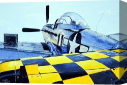 Reflection Canvas Prints - Reflection by Charles Taylor