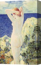 Unclothed Canvas Prints - The Bather by Childe Hassam