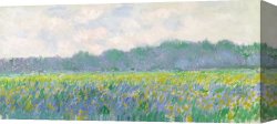 Claude Monet Canvas Prints - Field of Yellow Irises at Giverny by Claude Monet
