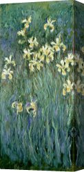 Claude Monet Canvas Prints - The Yellow Irises by Claude Monet