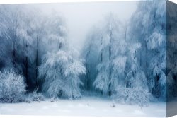 Cold Canvas Paintings - Frozen Forest by Collection 12
