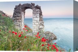 The Brandenburg Gate Berlin Canvas Paintings - Gate in the Poppies by Collection 12