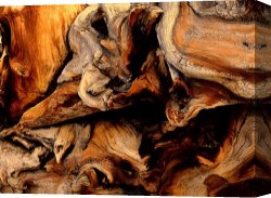 Ancient Canvas Paintings - The Ancient One by Collection 13