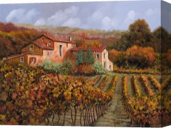 Collection 7 Canvas Prints - tra le vigne a Montalcino by Collection 7