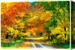Boar Lane Canvas Paintings - Autumn country lane by Collection 8