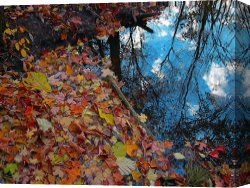 Reflection Canvas Prints - Autumn reflections by Collection 8
