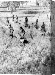 Goose Canvas Paintings - The Goose Hunters of The Arafura Swamp, Central Arnhem Land, Australia, May 1937 by Donald F Thomson