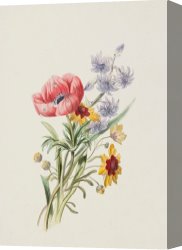 Wild Boars Canvas Paintings - Study of wild flowers by English School