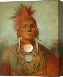 Headdress Canvas Prints - See Non Ty A An Iowa Medicine Man by George Catlin