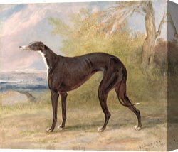 Boar Lane Canvas Paintings - One of George Lane Fox's Winning by George Garrard