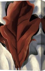 Red And White Canvas Prints - Large Dark Red Leaves on White by Georgia O'keeffe