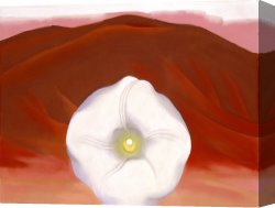 Red And White Canvas Prints - Red Hills And White Flower by Georgia O'keeffe