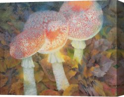 Undergrowth Canvas Prints - The Green Man With Stinkhorns by Glyn Morgan