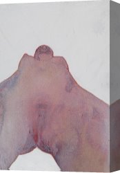 White Canvas Prints - White Display by Graham Dean