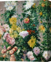 White Canvas Prints - White and Yellow Chrysanthemums by Gustave Caillebotte