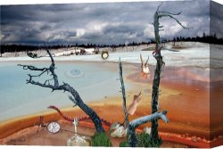 Reflection Canvas Prints - Diffuse Reflection by Helga Schmitt