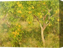 Scott Canvas Prints - The Lemon Tree by Henry Scott Tuke