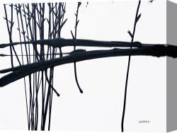 Landscape Canvas Paintings - Psychology of Landscape III by Jerome Lawrence