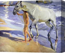 Horse Race Canvas Paintings - Washing the Horse by Joaquin Sorolla y Bastida