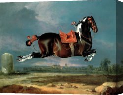 Horse Race Canvas Paintings - The Piebald Horse by Johann Georg Hamilton