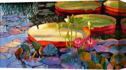 Summer Canvas Prints - A Quiet Summer Morning by John Lautermilch