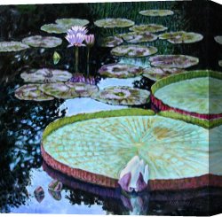 Reflection Canvas Prints - Calm Reflections by John Lautermilch